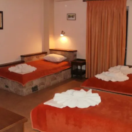 阿克泰昂酒店 *